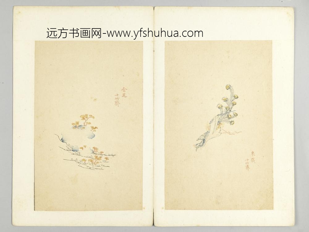 明-木版水印十竹斋五色笺谱册-