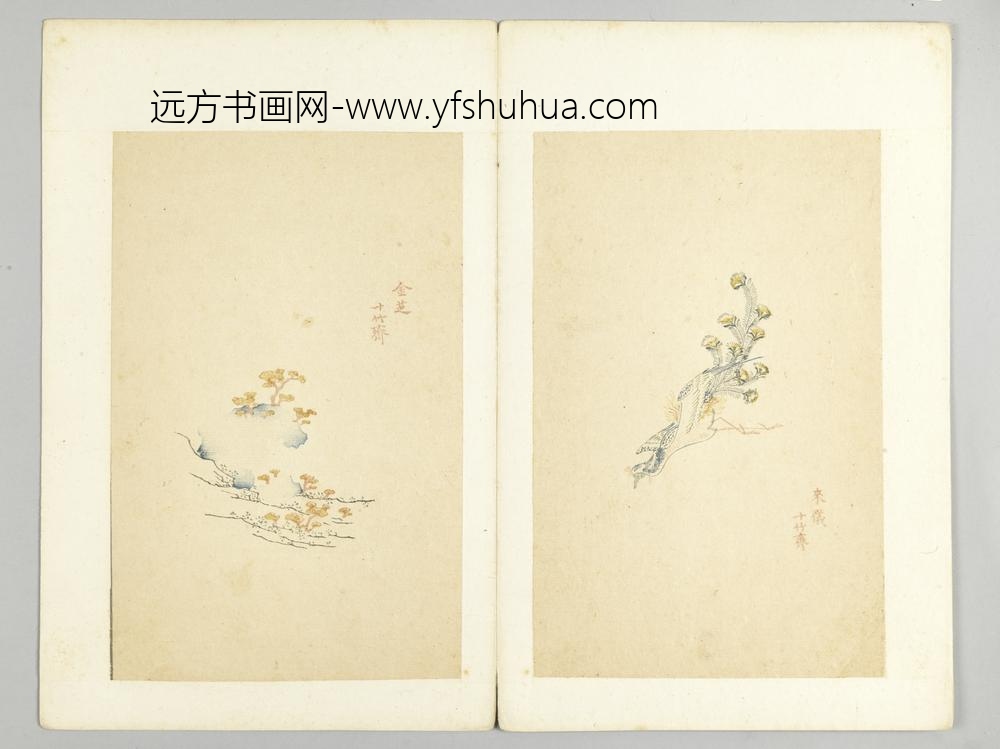 明-木版水印十竹斋五色笺谱册-