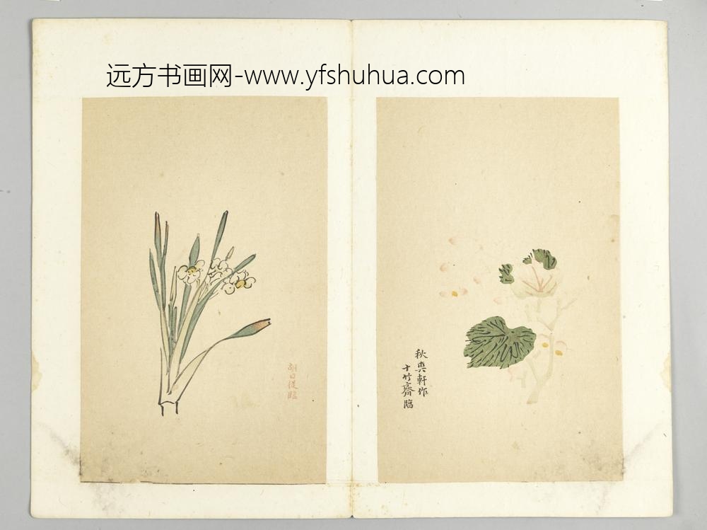 明-木版水印十竹斋五色笺谱册-