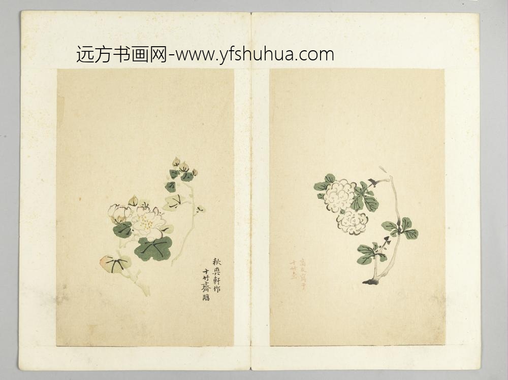 明-木版水印十竹斋五色笺谱册-