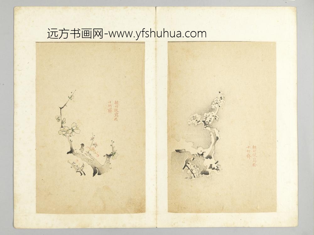 明-木版水印十竹斋五色笺谱册-