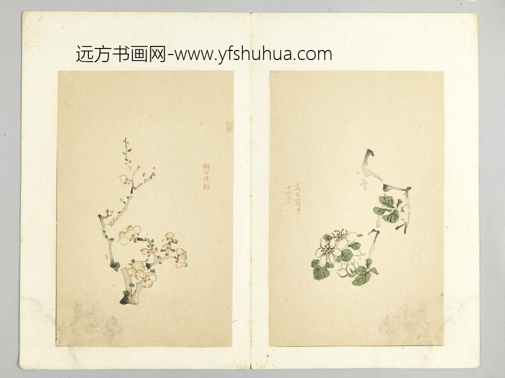 明-木版水印十竹斋五色笺谱册-