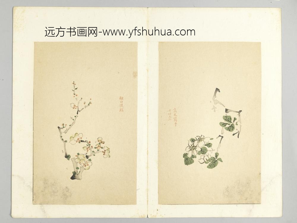 明-木版水印十竹斋五色笺谱册-