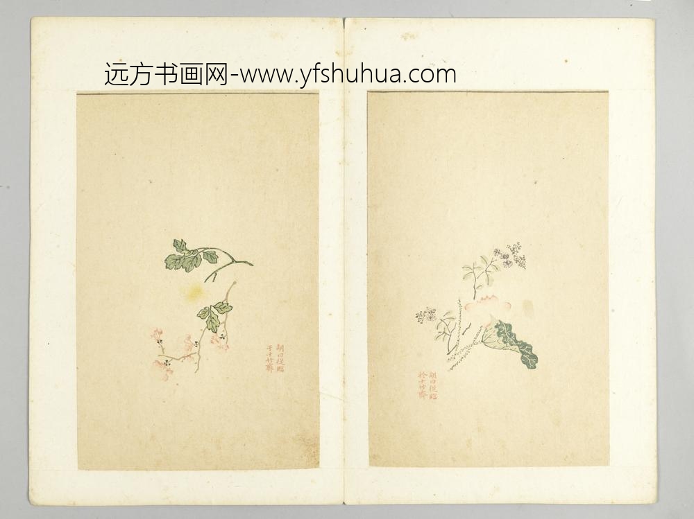 明-木版水印十竹斋五色笺谱册-