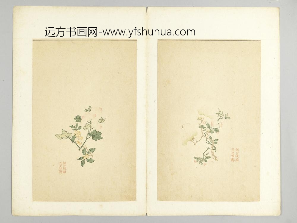 明-木版水印十竹斋五色笺谱册-