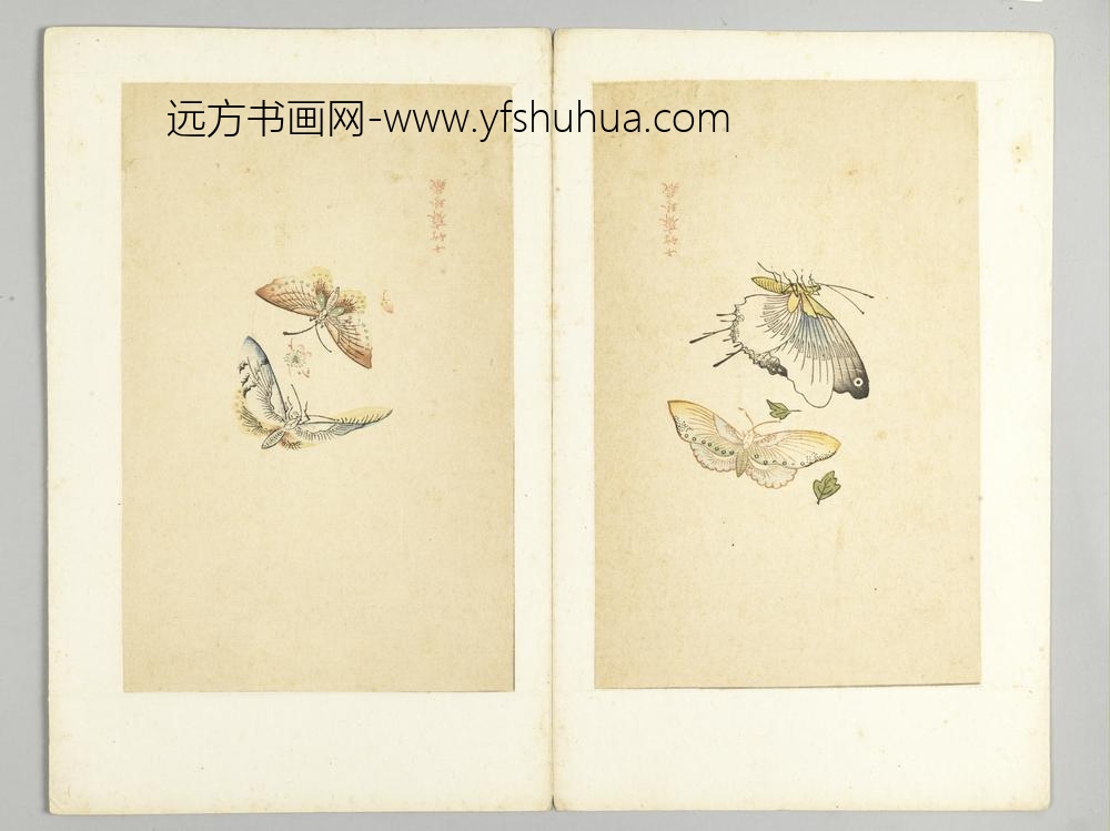明-木版水印十竹斋五色笺谱册-