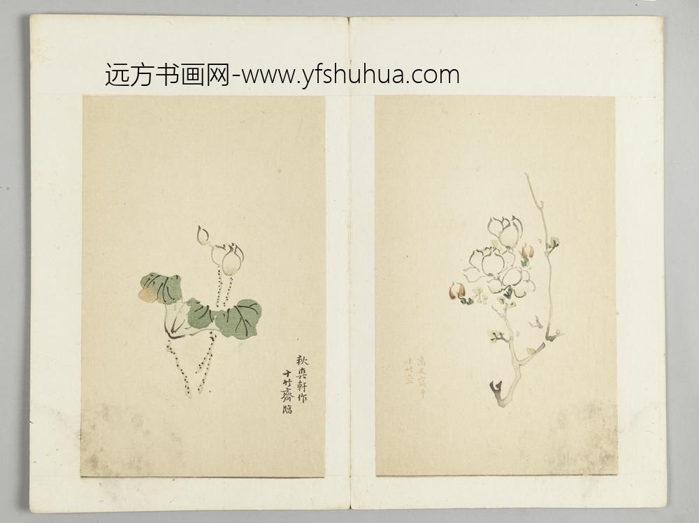 明-木版水印十竹斋五色笺谱册-