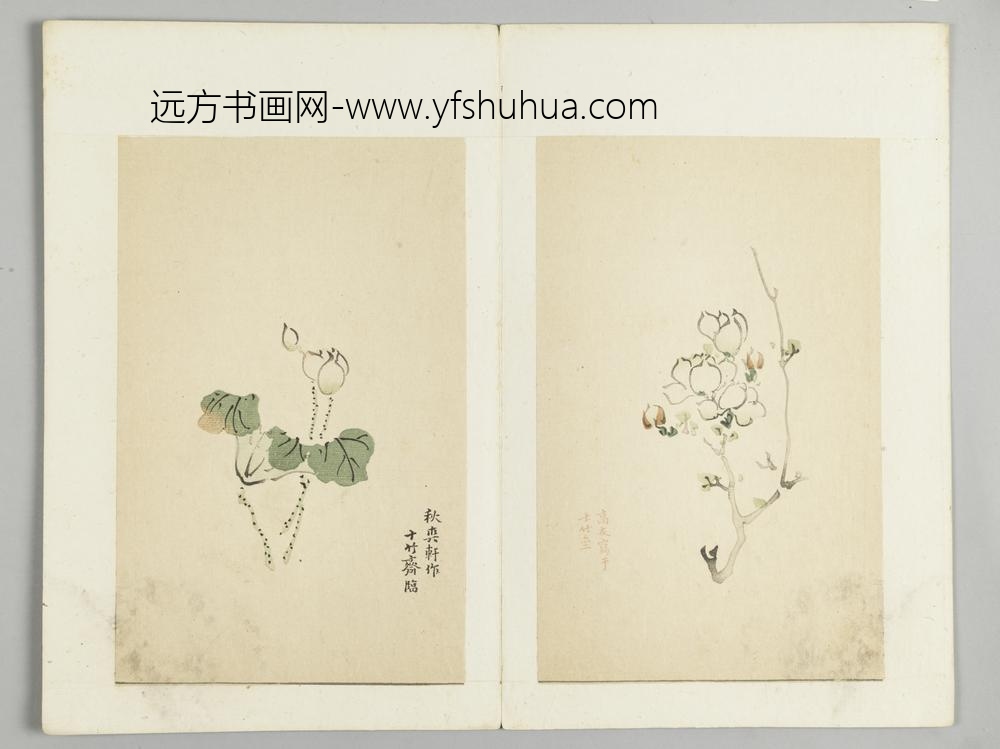 明-木版水印十竹斋五色笺谱册-