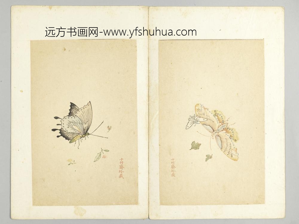 明-木版水印十竹斋五色笺谱册-