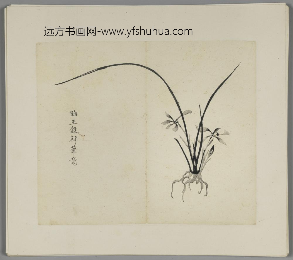 明-木版水印胡日从等十竹斋谱册-