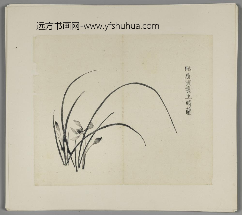 明-木版水印胡日从等十竹斋谱册-