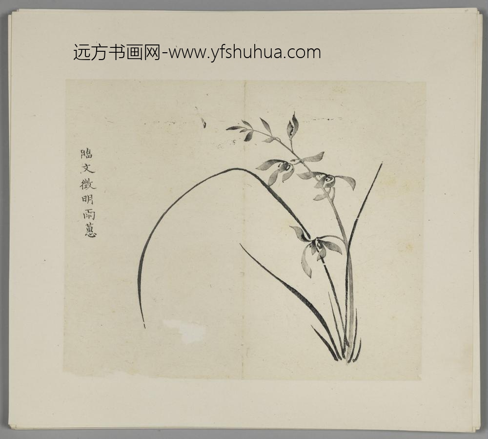 明-木版水印胡日从等十竹斋谱册-