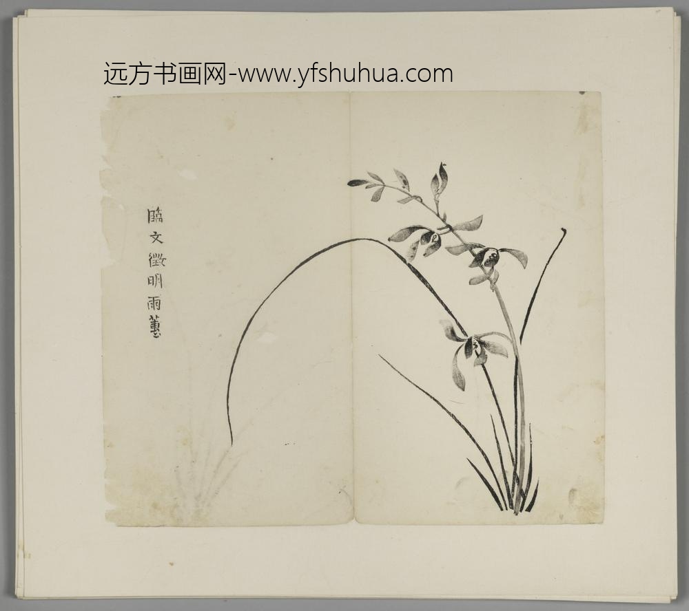 明-木版水印胡日从等十竹斋谱册-