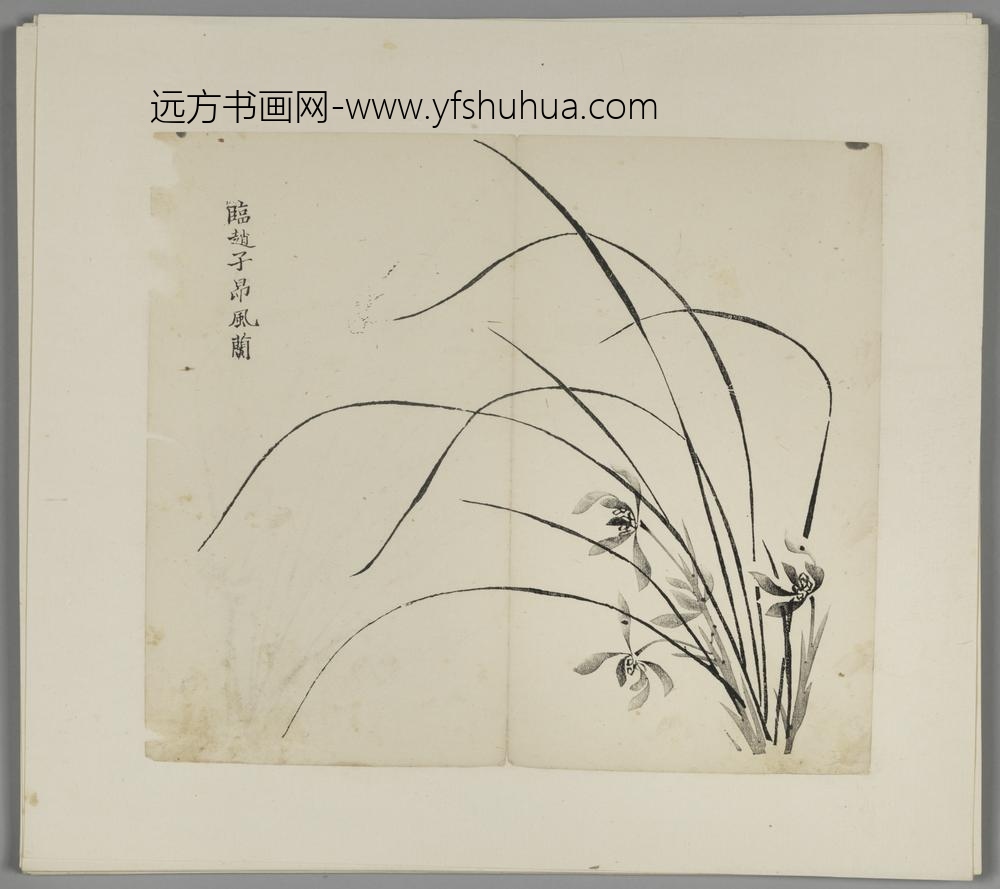 明-木版水印胡日从等十竹斋谱册-