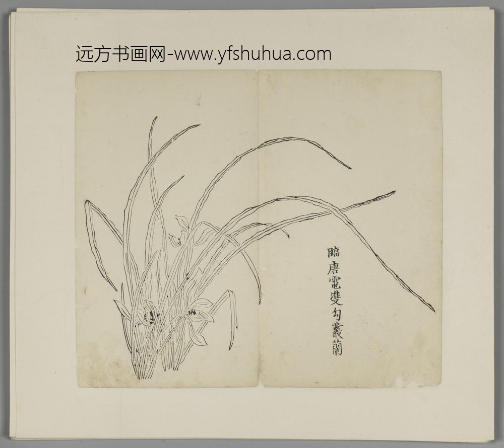 明-木版水印胡日从等十竹斋谱册-