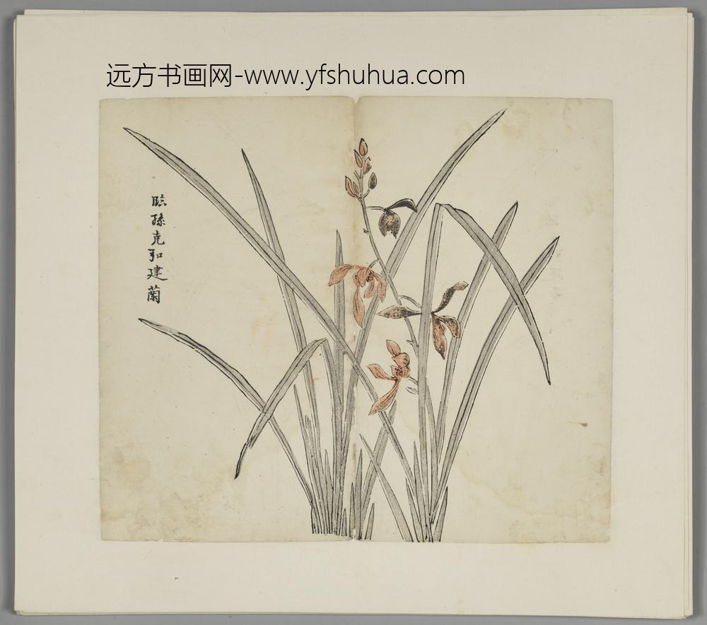明-木版水印胡日从等十竹斋谱册-