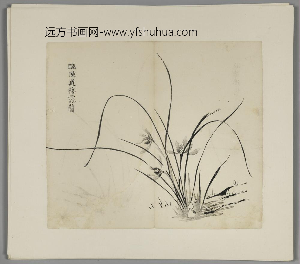 明-木版水印胡日从等十竹斋谱册-