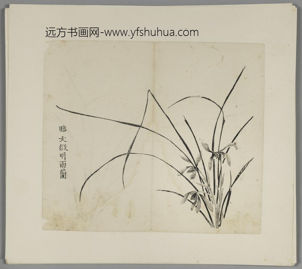 明-木版水印胡日从等十竹斋谱册-
