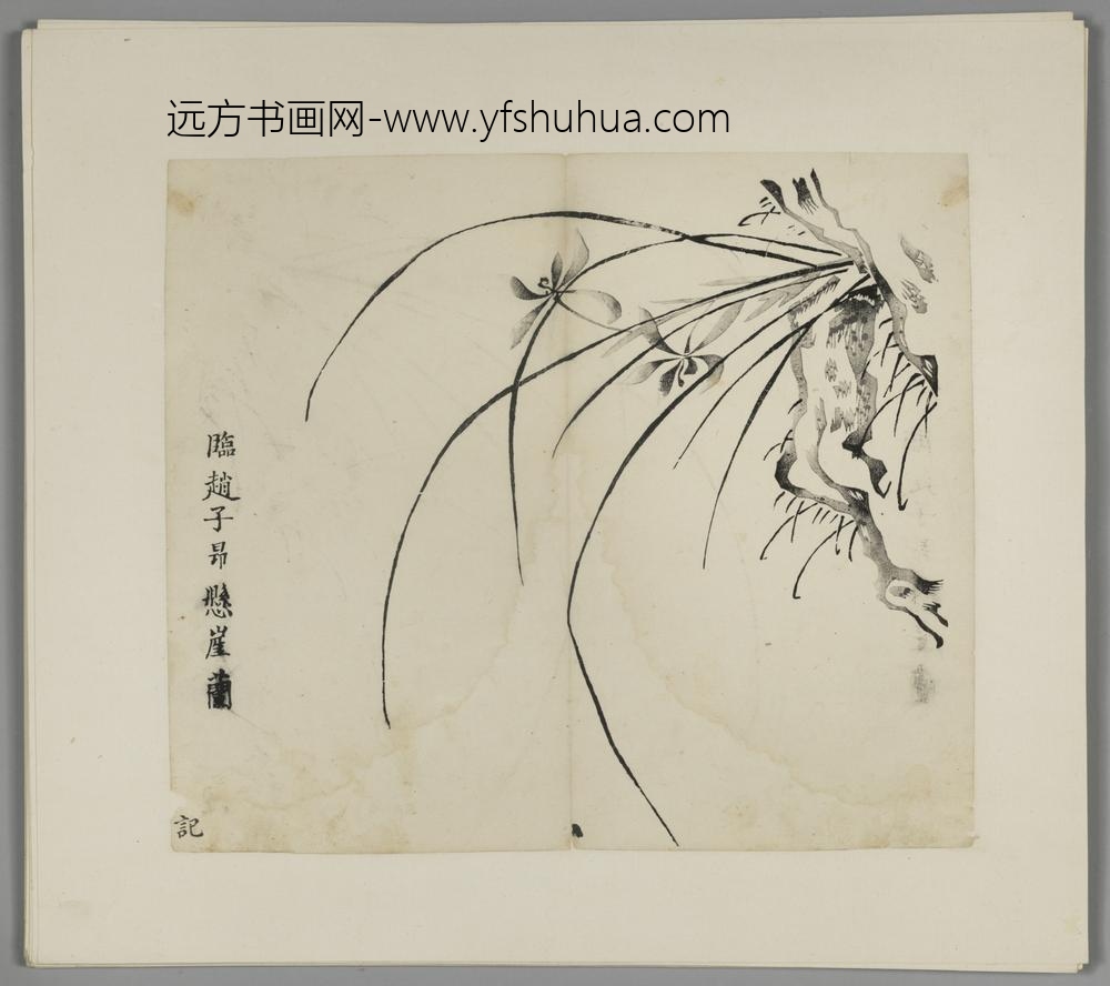 明-木版水印胡日从等十竹斋谱册-