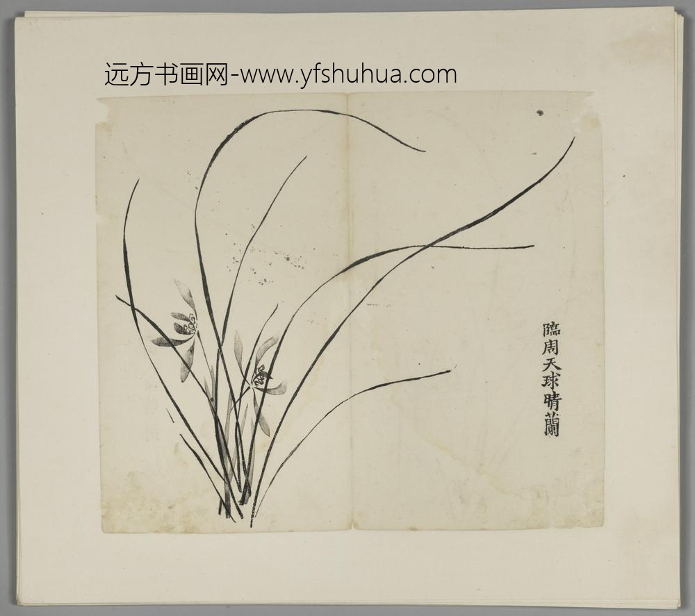 明-木版水印胡日从等十竹斋谱册-