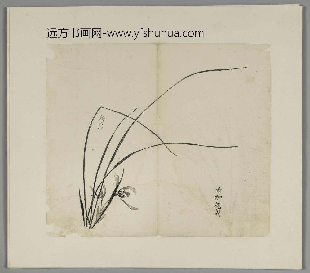 明-木版水印胡日从等十竹斋谱册-