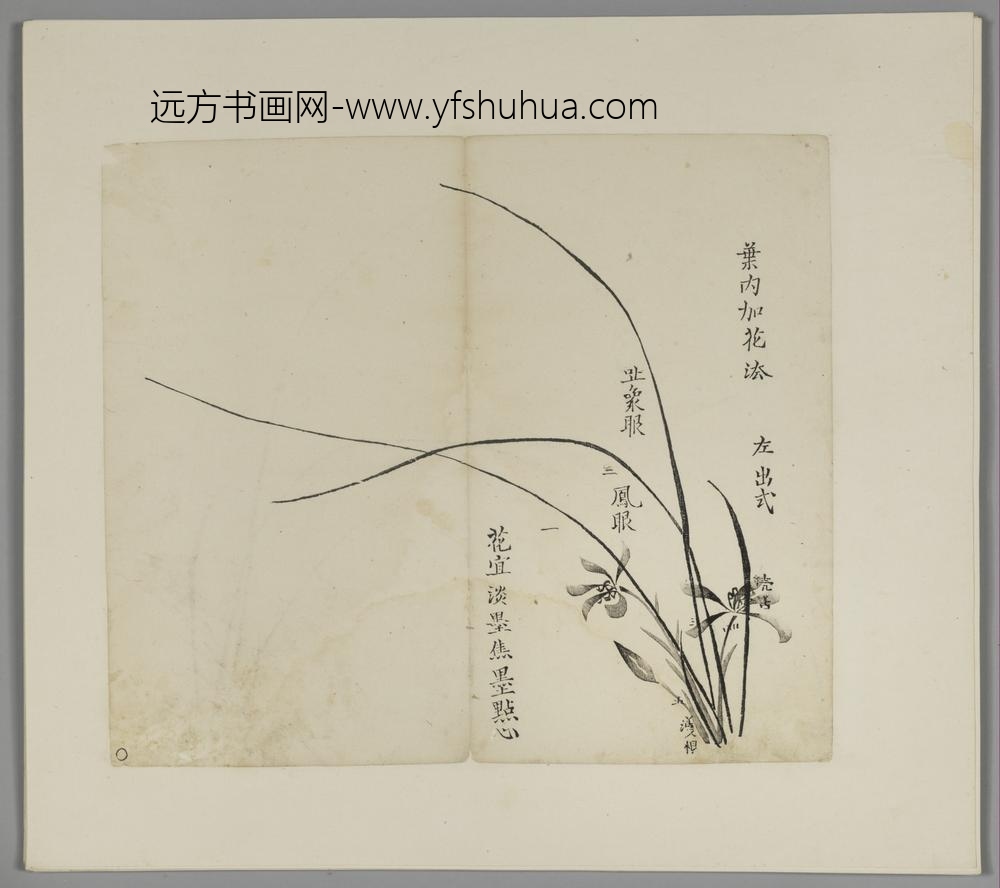 明-木版水印胡日从等十竹斋谱册-