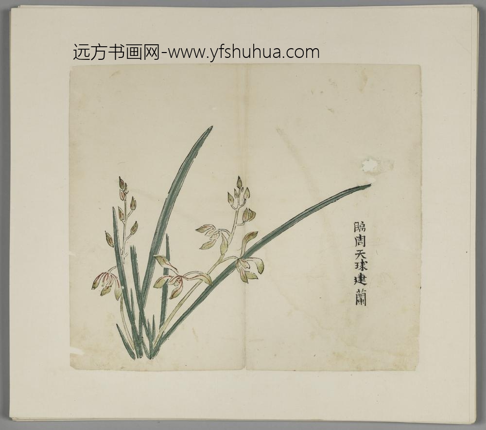 明-木版水印胡日从等十竹斋谱册-