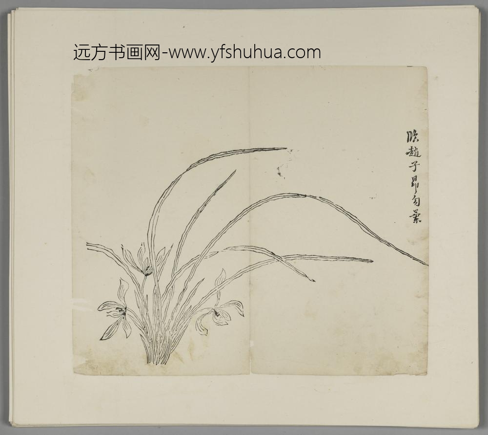 明-木版水印胡日从等十竹斋谱册-