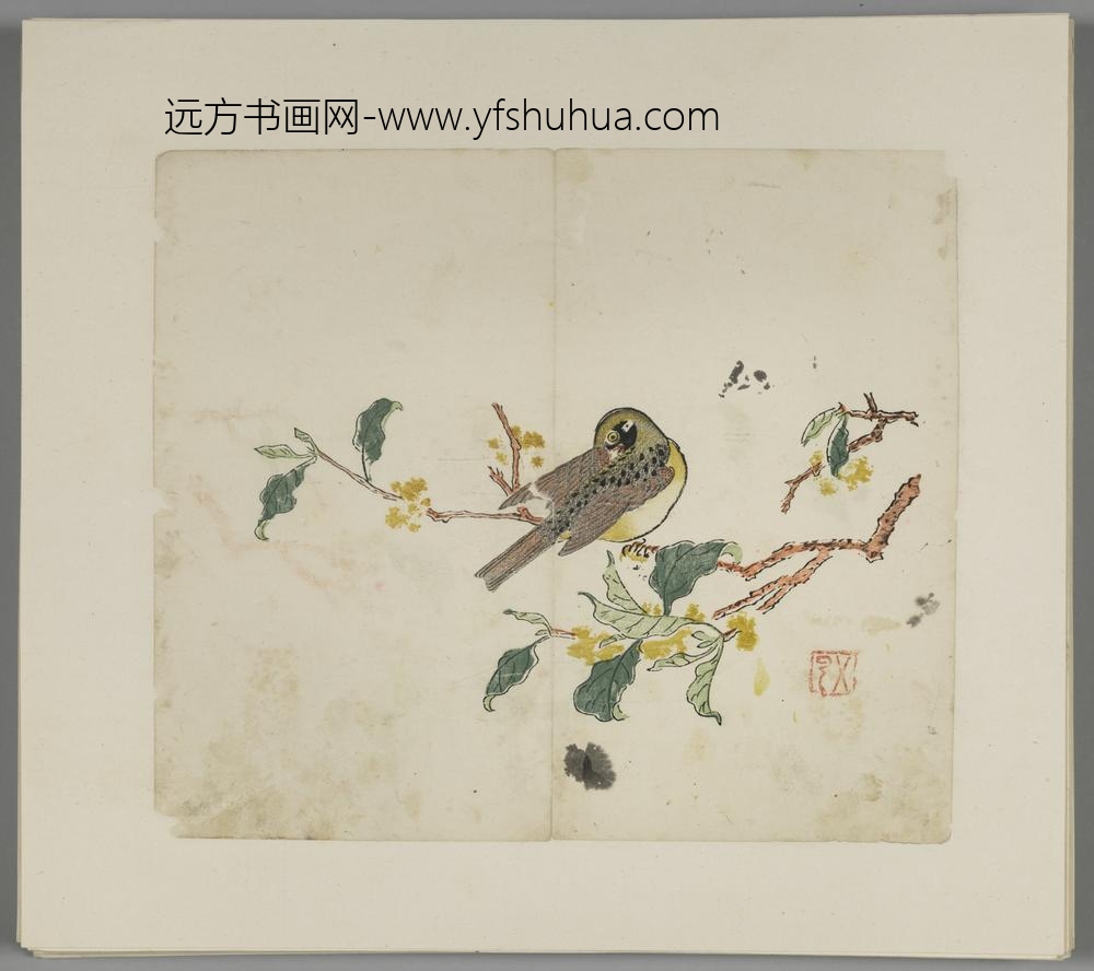 明-木版水印胡日从等十竹斋谱册-