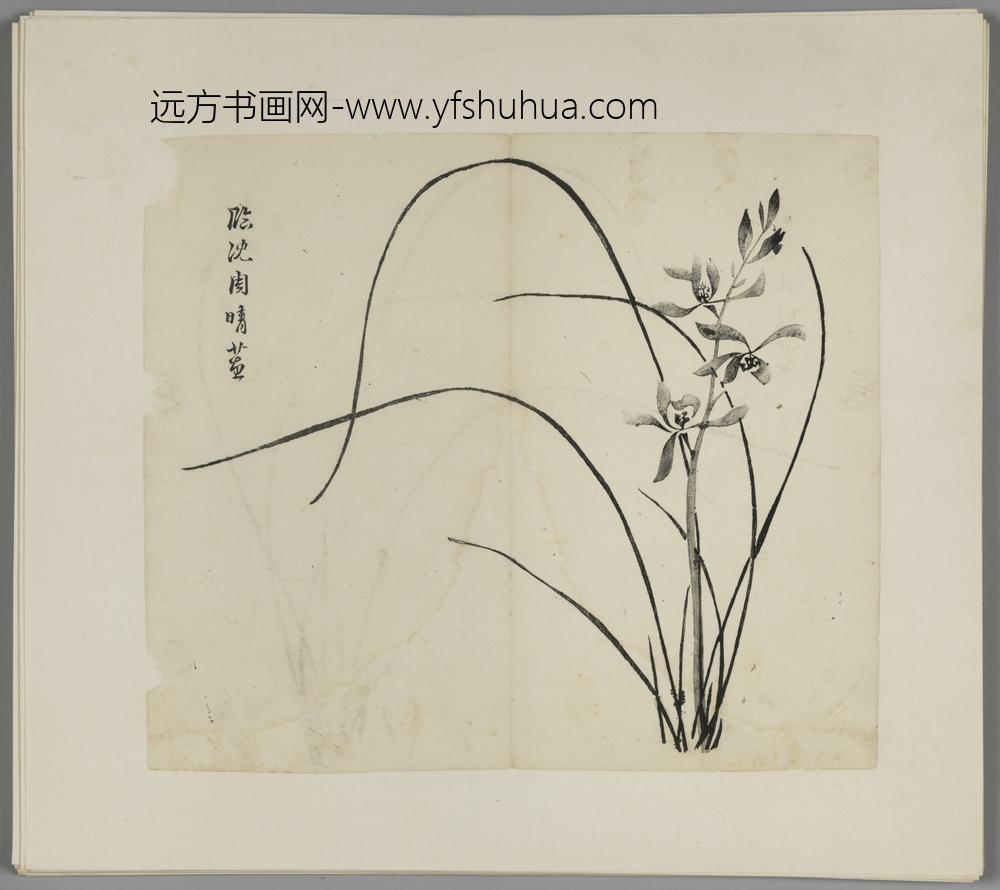 明-木版水印胡日从等十竹斋谱册-