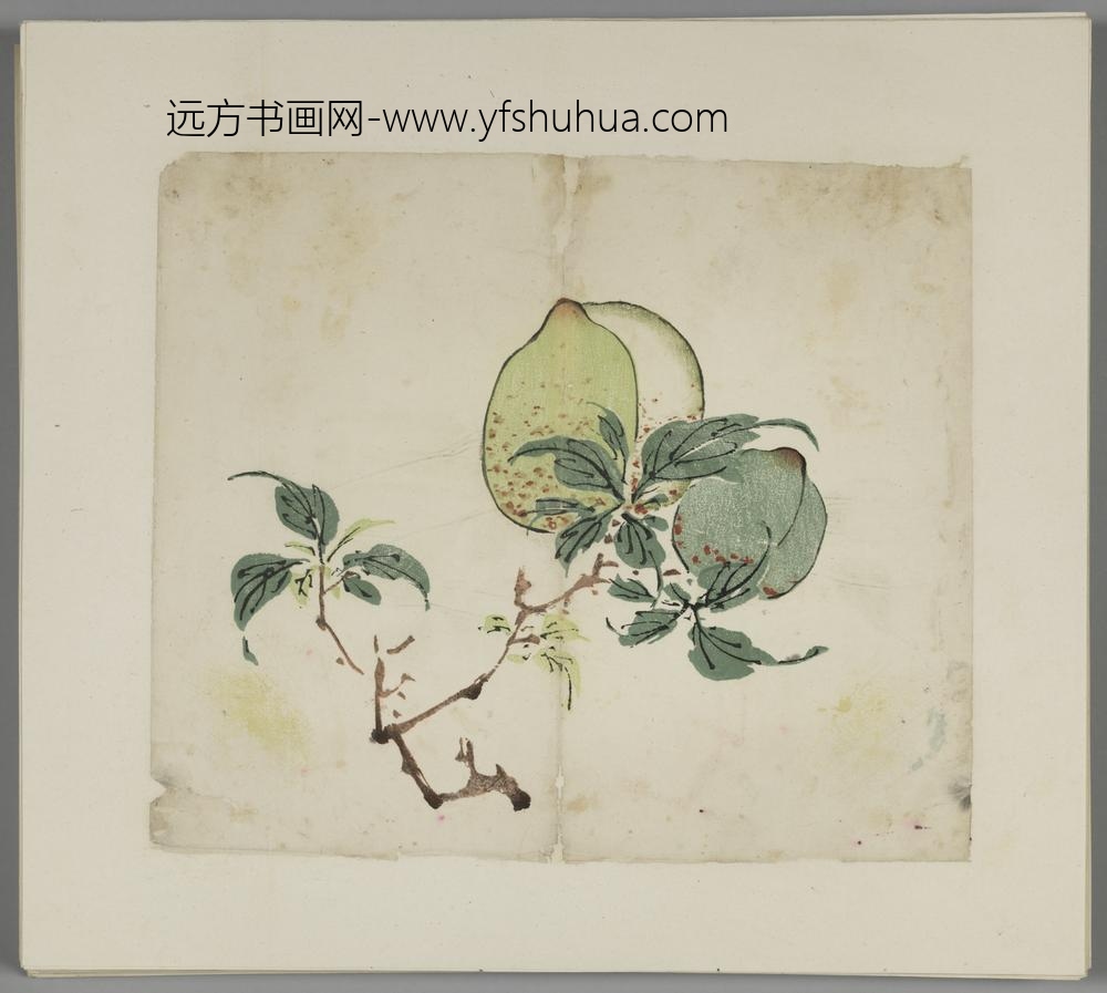 明-木版水印胡日从等十竹斋谱册-
