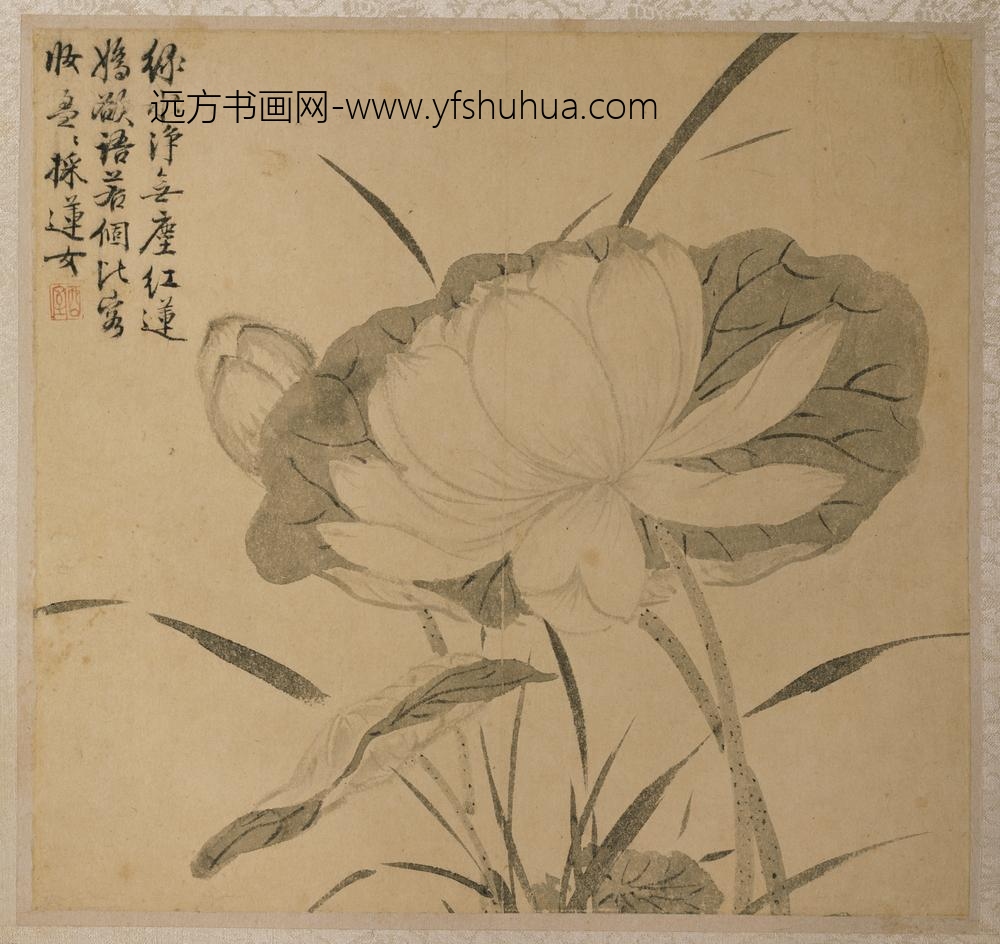 明-王穀祥花卉图册-