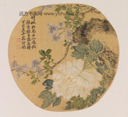 朱钧 仿恽寿平白牡丹图.jpg