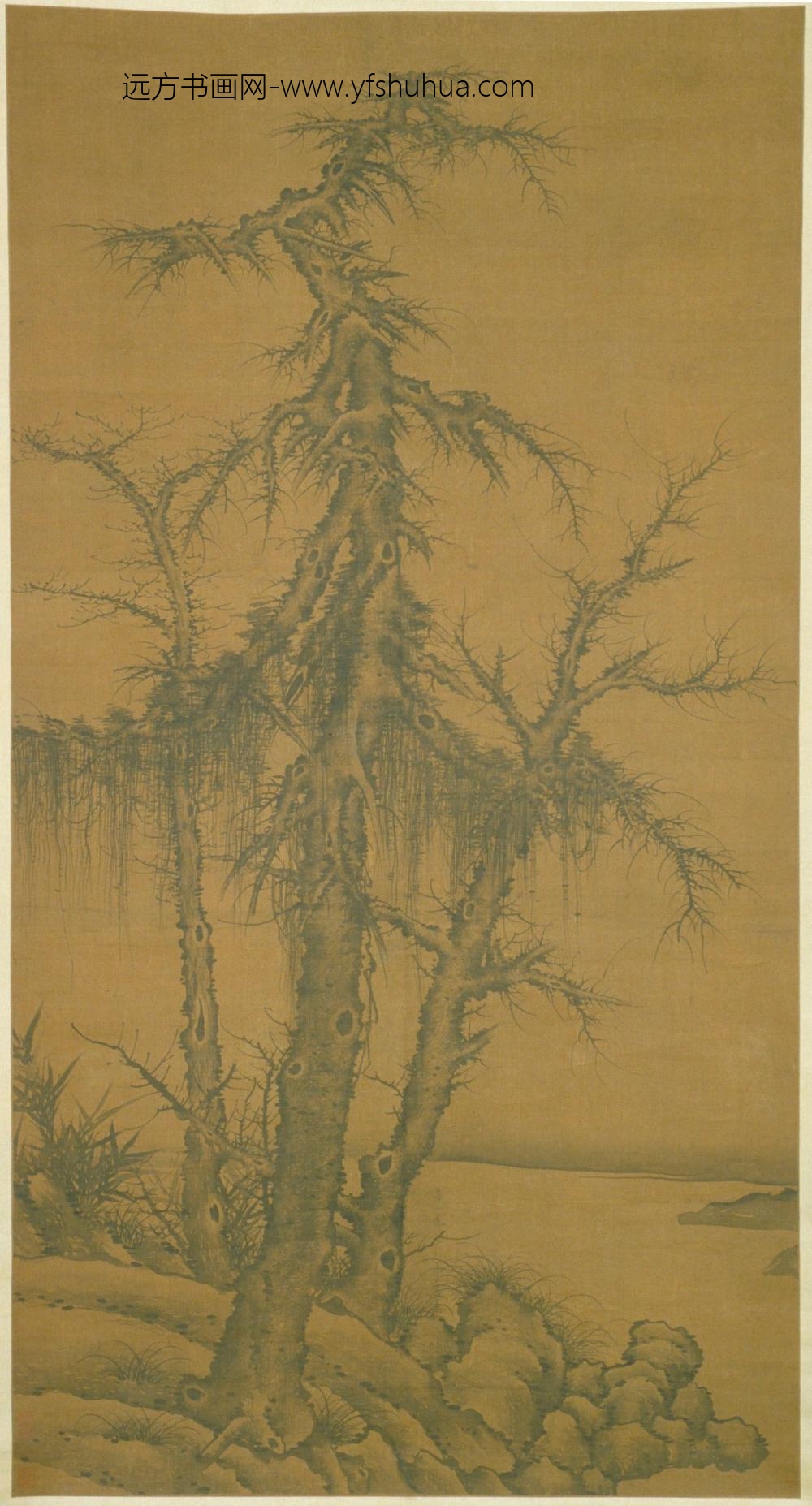 李衎_古木竹石图