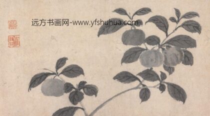 沈周 果枝图.jpg