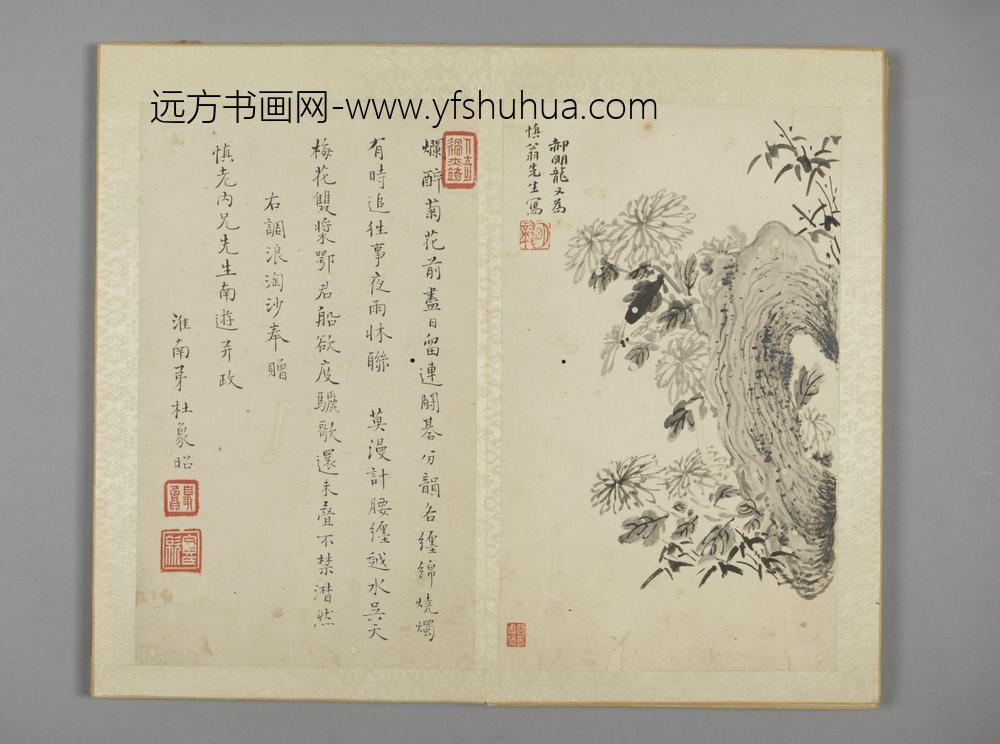 清-娱目赏心册-潘阀盛蕉石册页