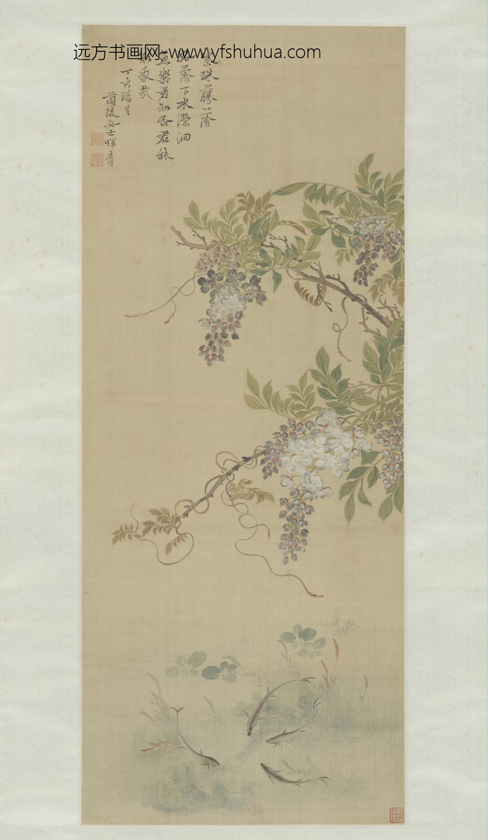 清-恽青紫藤游鱼轴