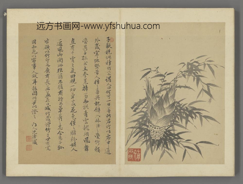 清-沈溥竹石法书合璧图册-