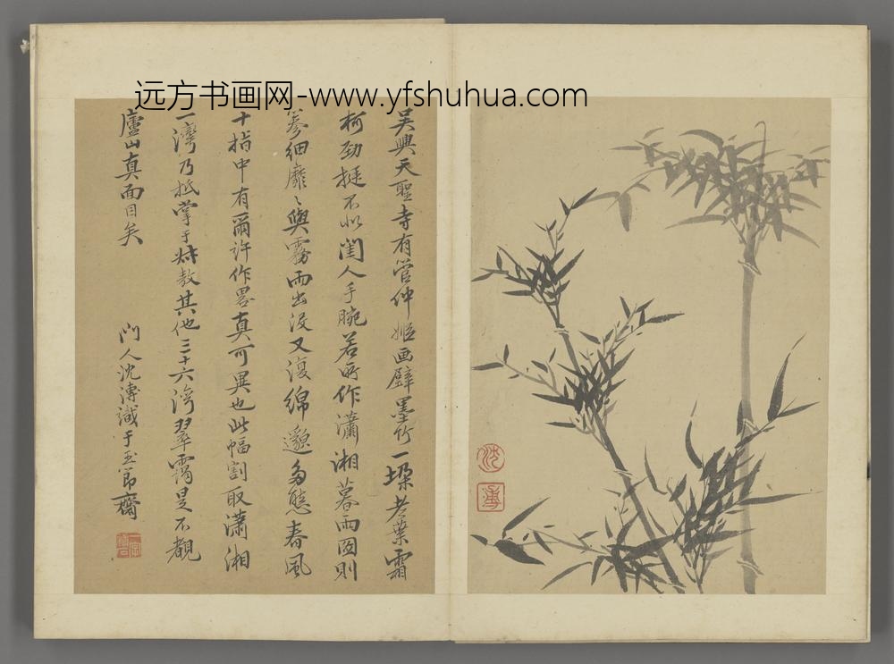 清-沈溥竹石法书合璧图册-