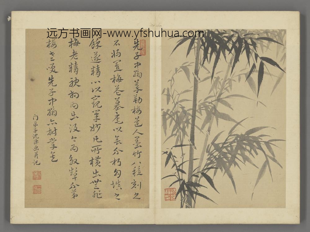 清-沈溥竹石法书合璧图册-