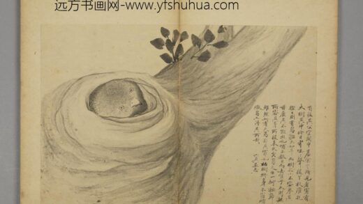 清 王六真杂画册 1.jpg