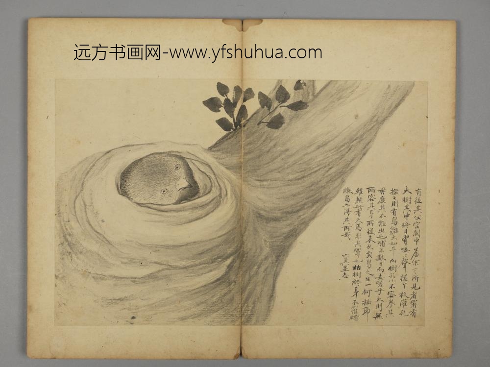 清-王六真杂画册-