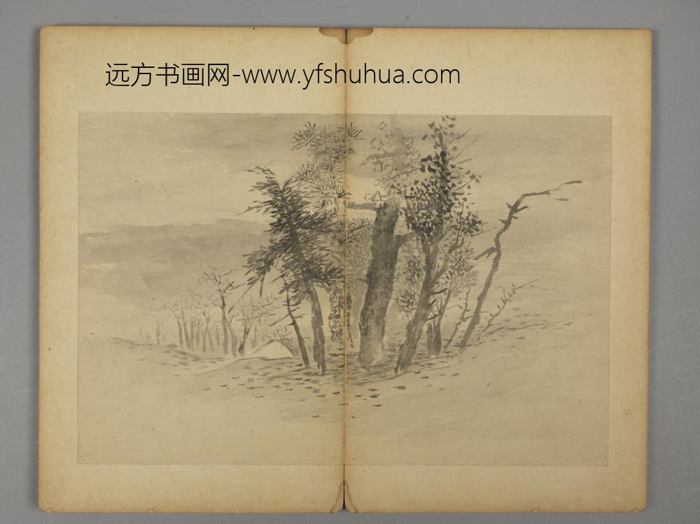 清-王六真杂画册-