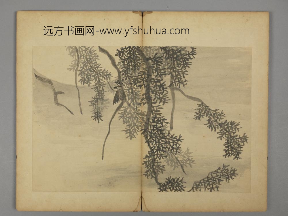 清-王六真杂画册-