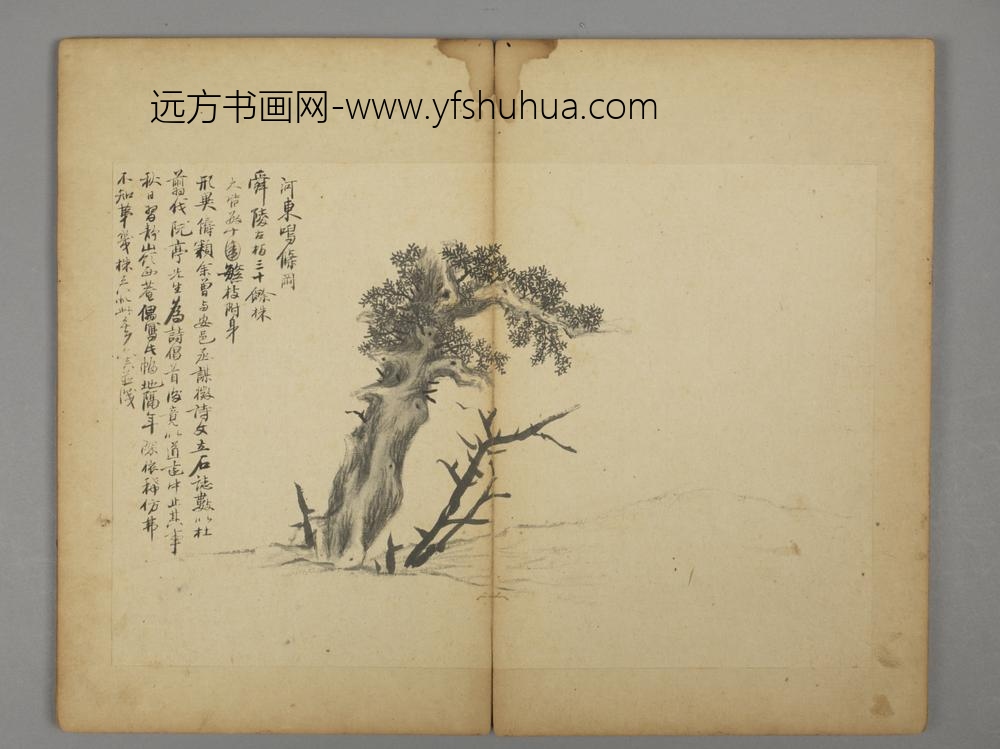 清-王六真杂画册-