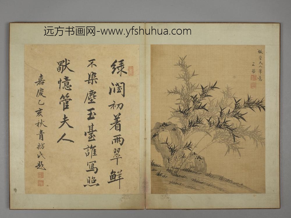 清-王崿竹石册-