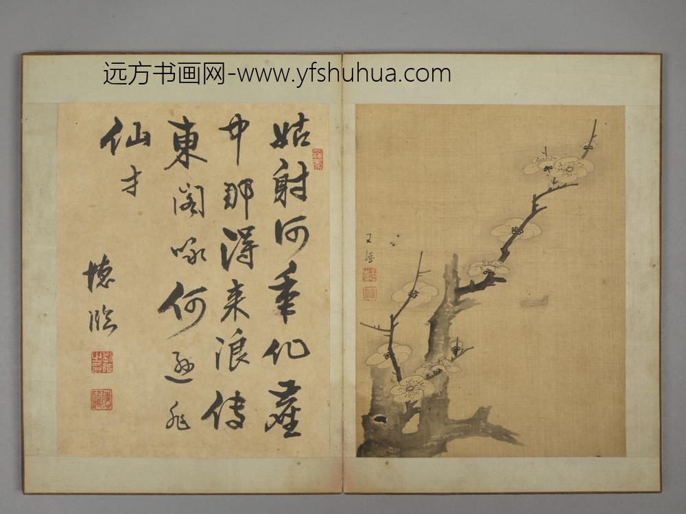 清-王崿竹石册-