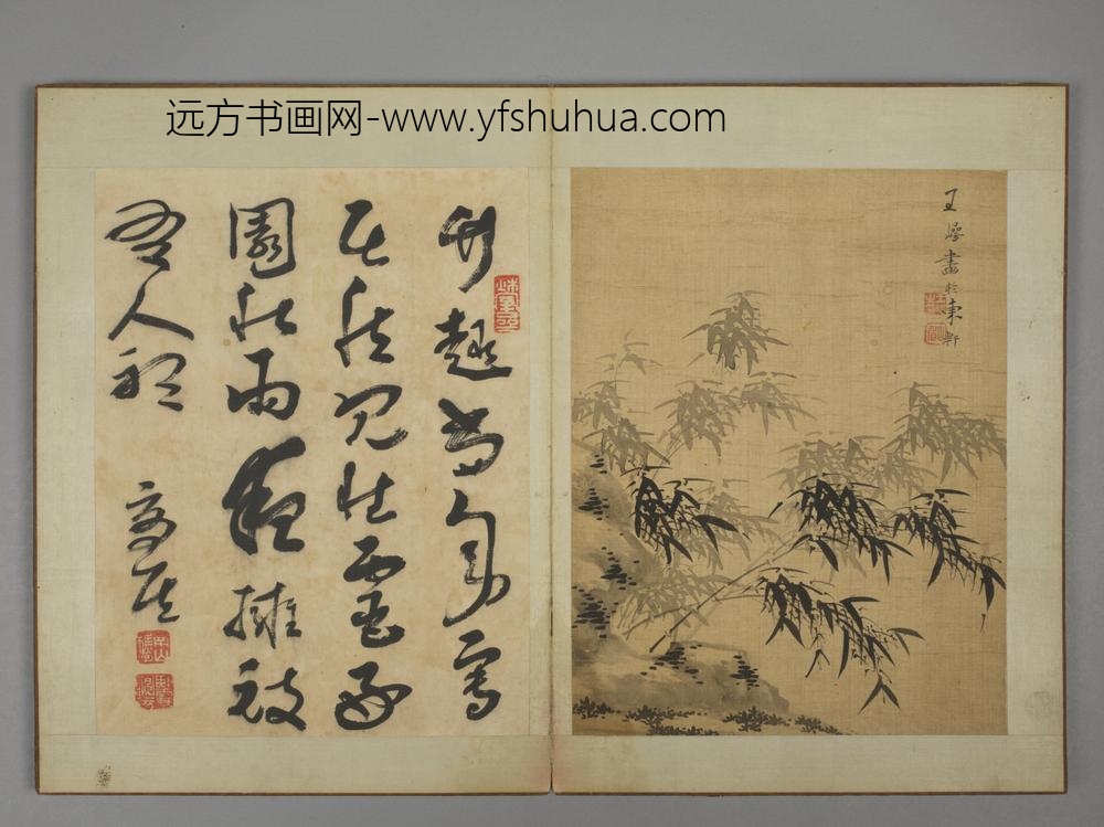清-王崿竹石册-