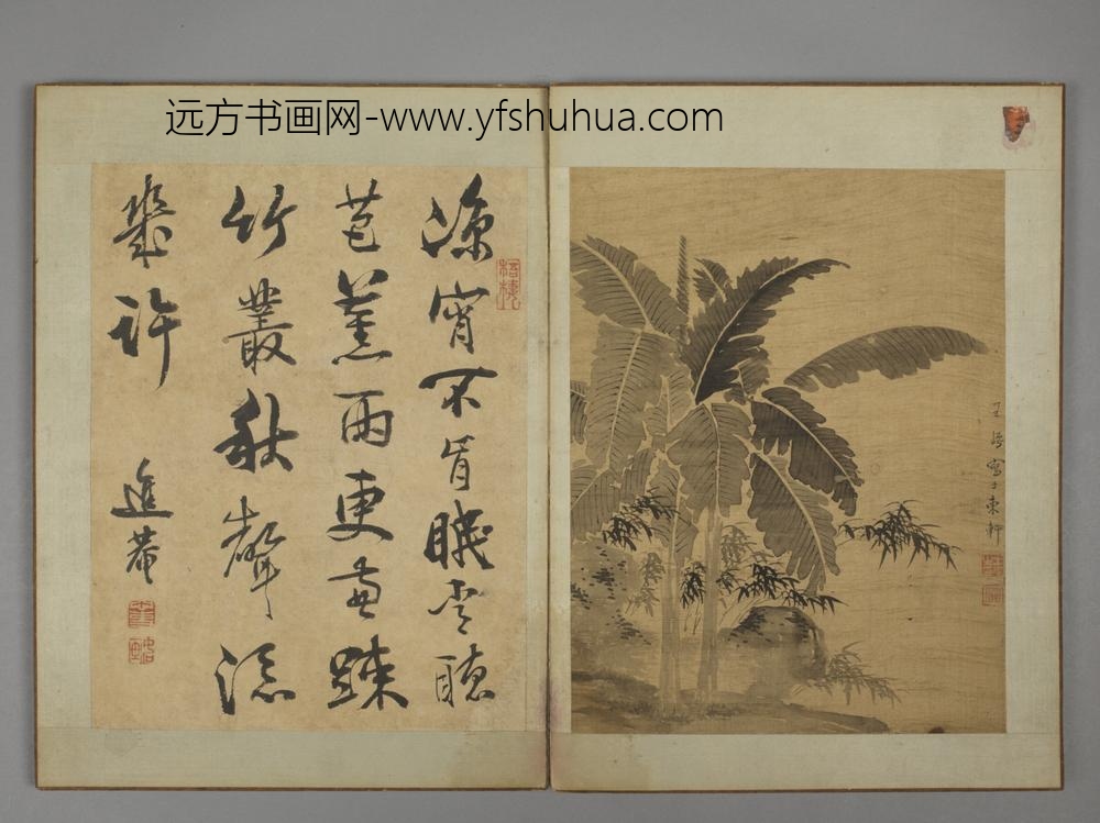 清-王崿竹石册-
