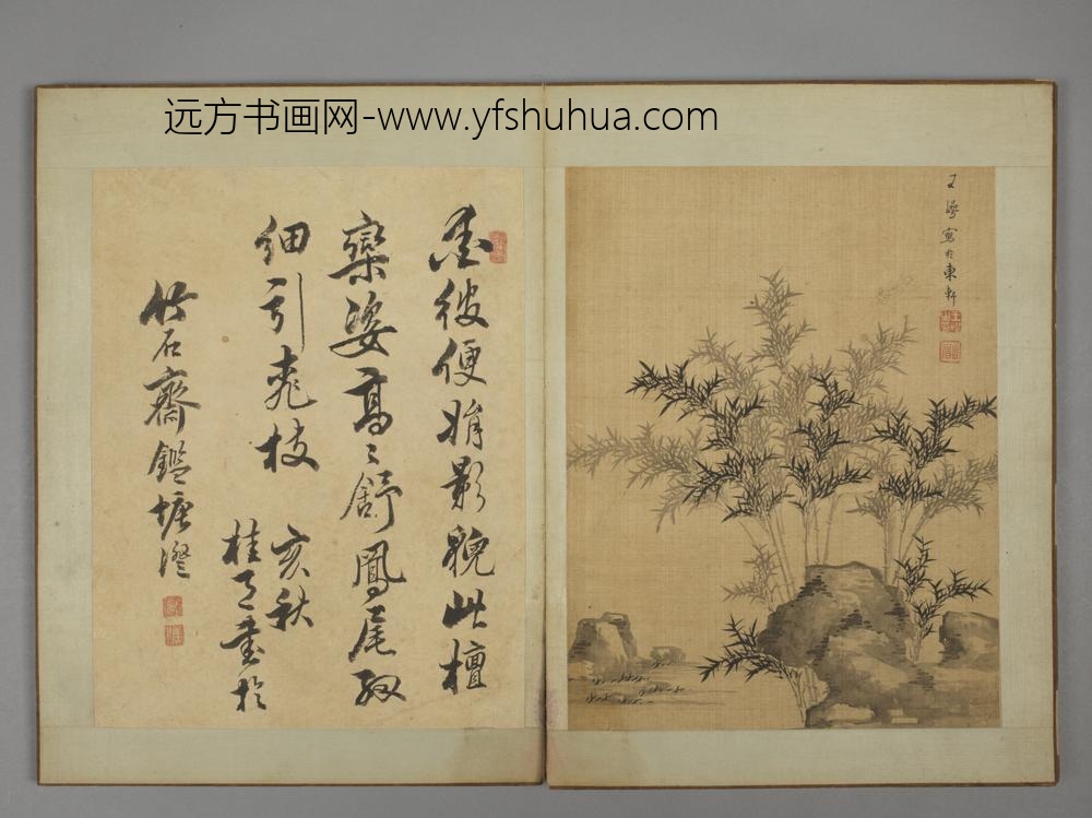 清-王崿竹石册-